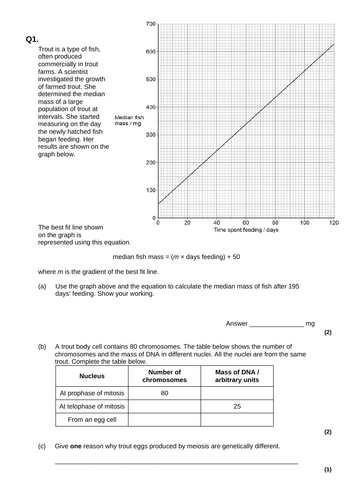 docx, 235.85 KB