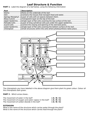 docx, 162.3 KB