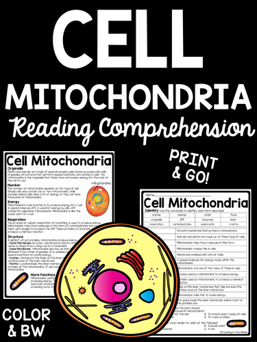 Animal Cells and Mitochondria | Teaching Resources