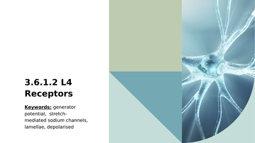 3.6.1.2 L4 Receptors (AQA A-level)