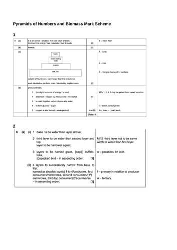 docx, 230.12 KB