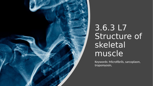 3.6.3 L7 Structure of skeletal muscle​ (AQA A-level biology)