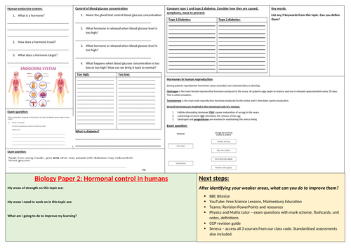 docx, 510.75 KB