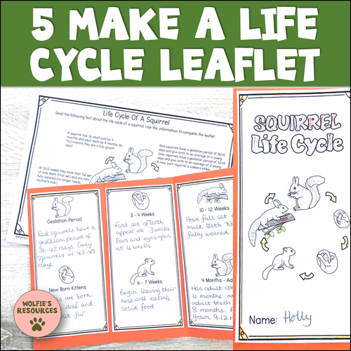 life cycle homework year 5