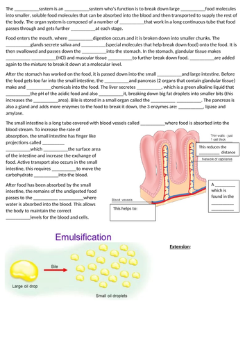 docx, 294.63 KB