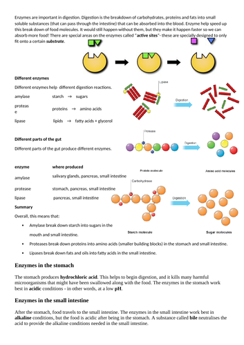 docx, 611.04 KB