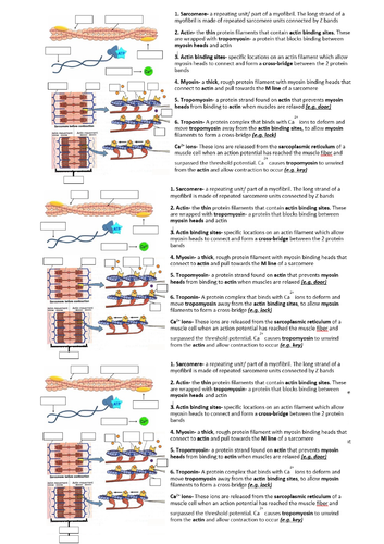 docx, 423.53 KB