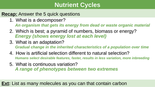 Nutrient Cycles The Carbon Cycle and The Nitrogen Cycle Biology Diagrams