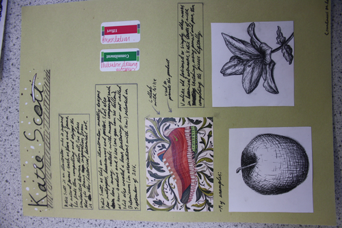 KS3 Natural forms project | Teaching Resources
