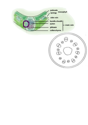 docx, 124.08 KB