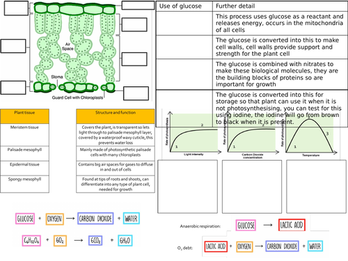 Aqa B4 Bioenergetics Revision Lesson Teaching Resources