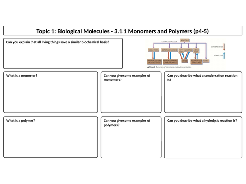 Biological molecules topic for OCR A level. MODULE 2: FOUNDATIONS IN ...