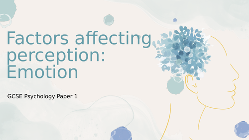 AQA GCSE Full Perception Unit PPT | Teaching Resources