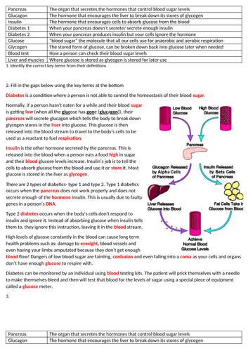 docx, 59.64 KB