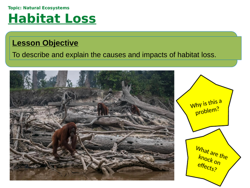 Causes and Impacts of Habitat Loss | Teaching Resources