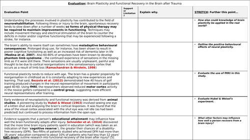 A-Level Psychology - BRAIN PLASTICITY AND FUNCTIONAL RECOVERY AFTER ...