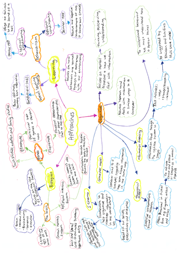 Approaches Mind Map | Teaching Resources