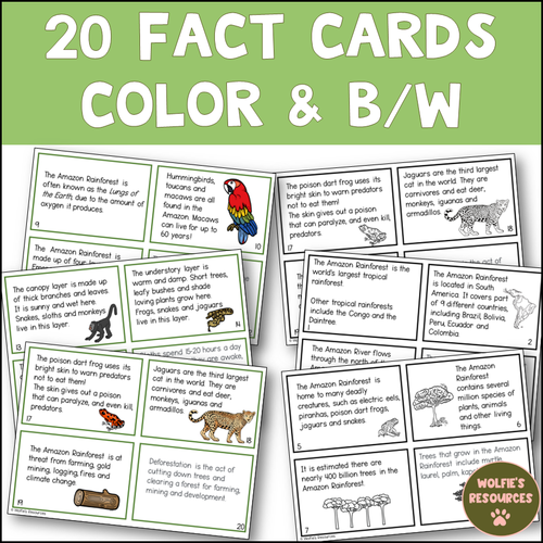 Amazon Rainforest Scavenger Hunt KS2 Teaching Resources