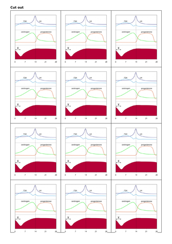 docx, 56.56 KB