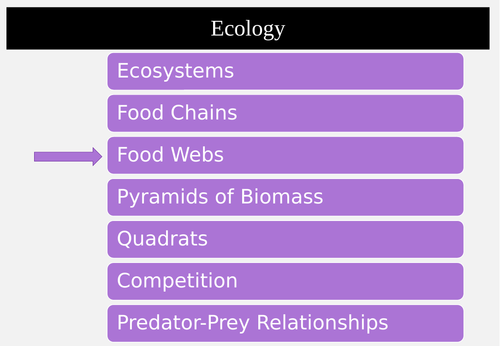 3. Food Webs Misconceptions Biology Diagrams