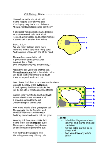 Science Biology SEND Y7 Plant Systems & Life Processes