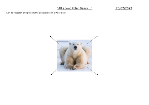 Polar Bears, Educational Resources