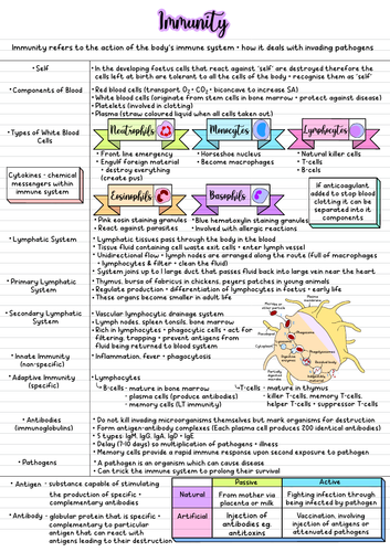 Immunity Notes (Agriculture) | Teaching Resources