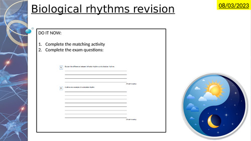 biological rhythms essay