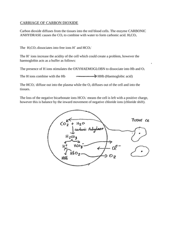 docx, 255.48 KB