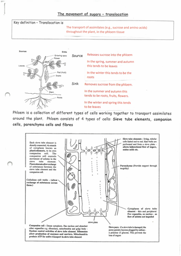 pdf, 3.67 MB