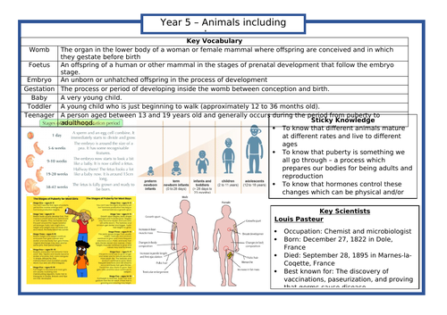 ALL Year 5 ScienceKnowledge Organisers | Teaching Resources
