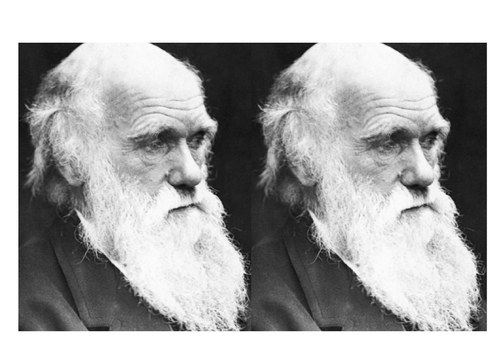 KS2 Biographies - Charles Darwin | Teaching Resources