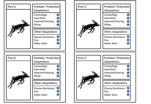 Natural Selection Game | Teaching Resources