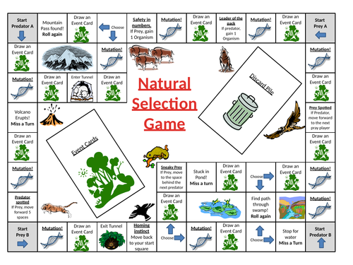 Natural Selection Game | Teaching Resources