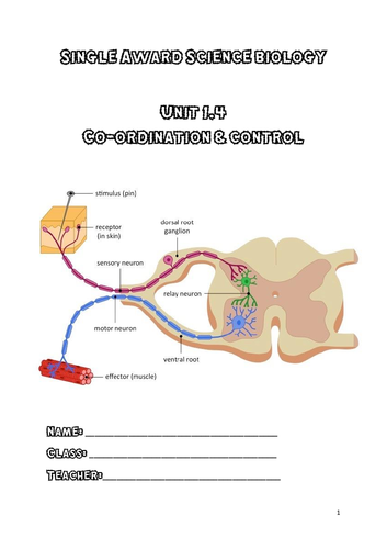 pdf, 1.81 MB