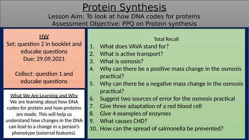 lesson_protein synthesis_AQA GCSE | Teaching Resources