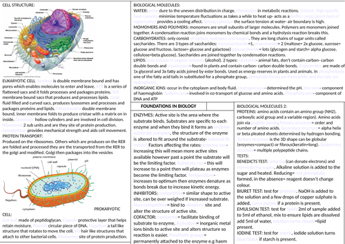 docx, 1.67 MB