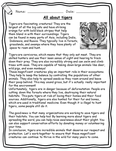 English Reading Comprehensions - Animal Non-fiction worksheets with ...