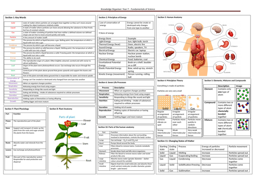 KS3 Fundamentals of Science unit | Teaching Resources