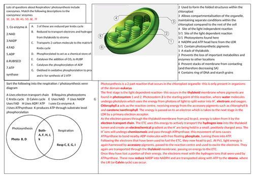 docx, 230.22 KB