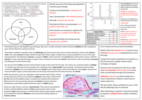 Revision Summary sheets and answers OCR A Biology A level Y12/13 ...