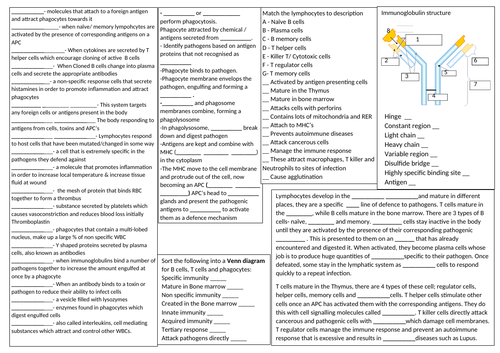 Revision Summary sheets and answers OCR A Biology A level Y12/13 ...