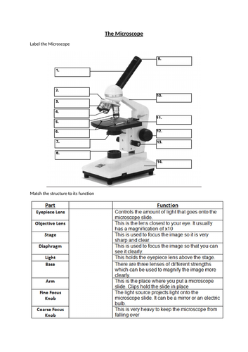 Microscope labelling and function match up | Teaching Resources