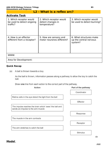 B5 Homeostasis and Response - AQA GCSE Combined Science (9-1) NEW v2.0 ...