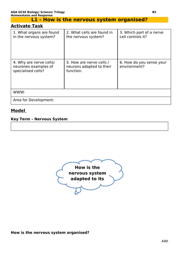 B5 Homeostasis and Response - AQA GCSE Combined Science (9-1) NEW v2.0 ...