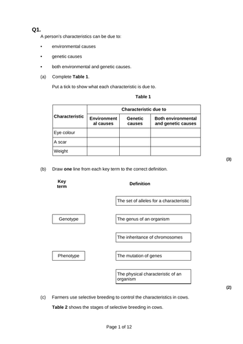 docx, 311.41 KB