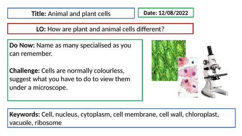 iGCSE Co-ordinated Science: B1 and 2 Characteristics of living ...