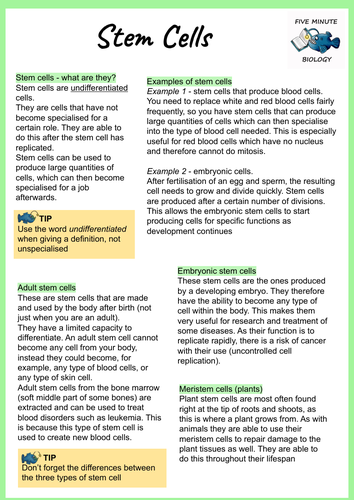 AQA GCSE Biology Stem Cells Revision Sheet