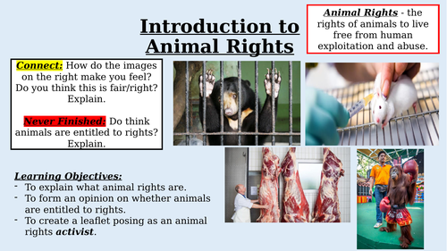 Religion and Animal Rights | Teaching Resources