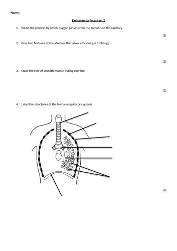 Exchange surfaces: OCR A Level (Module 3.1.1) | Teaching Resources